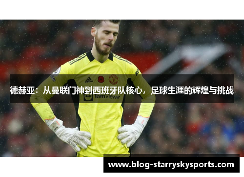 德赫亚：从曼联门神到西班牙队核心，足球生涯的辉煌与挑战