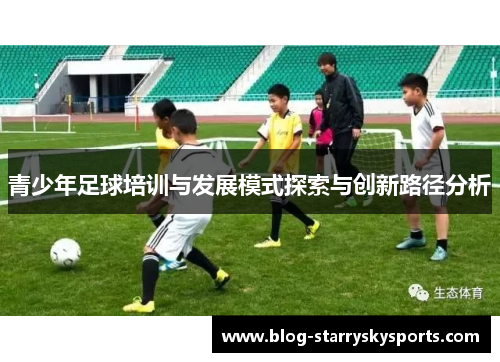 青少年足球培训与发展模式探索与创新路径分析