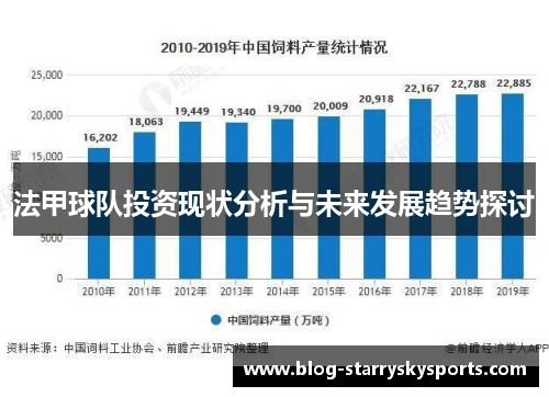 法甲球队投资现状分析与未来发展趋势探讨