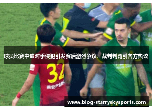 球员比赛中遭对手侵犯引发赛后激烈争议，裁判判罚引各方热议