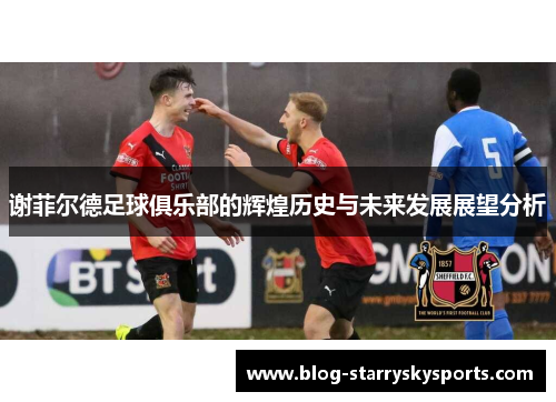 谢菲尔德足球俱乐部的辉煌历史与未来发展展望分析
