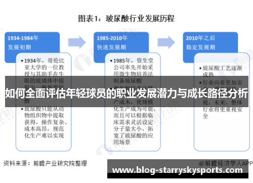 如何全面评估年轻球员的职业发展潜力与成长路径分析