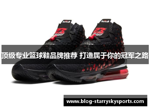 顶级专业篮球鞋品牌推荐 打造属于你的冠军之路