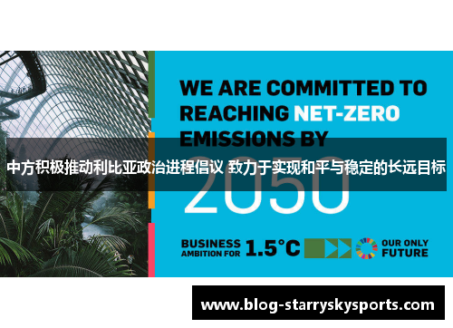 中方积极推动利比亚政治进程倡议 致力于实现和平与稳定的长远目标