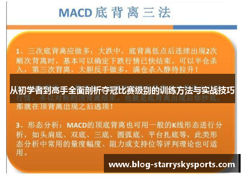 从初学者到高手全面剖析夺冠比赛级别的训练方法与实战技巧