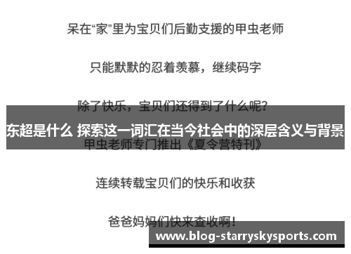 东超是什么 探索这一词汇在当今社会中的深层含义与背景