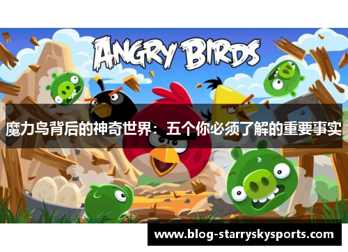 魔力鸟背后的神奇世界：五个你必须了解的重要事实